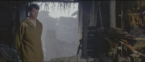 Movie cover image