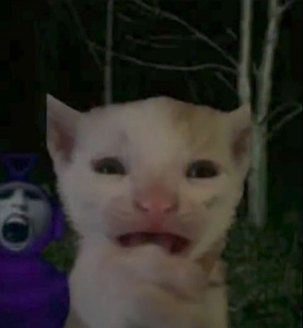 zWrqIqXC.jpg