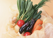 Сезонные овощи / Vegetables in Season MEH1MI_t