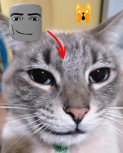 XXtxOzgy.jpg