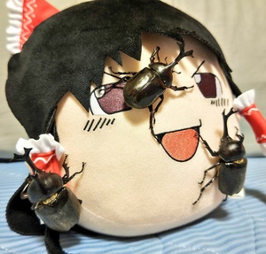 XYSXSwP7.jpg