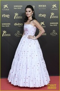 penelope-cruz-javier-bardem-cate-blanchett-goya-cinema-awards-40.jpg
