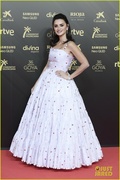 penelope-cruz-javier-bardem-cate-blanchett-goya-cinema-awards-39.jpg