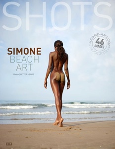 Permanent Link to 2014 12 27 simone beach art