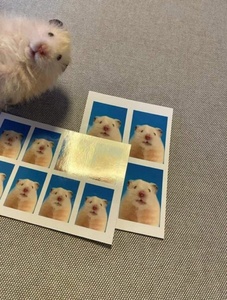 GscvdkEr.jpg