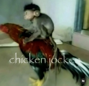 YY2iekRh.jpg
