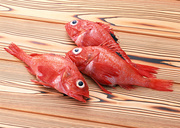Свежая рыба / Fresh Fish MEGR84_t