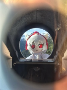 zfOeHhyq.jpg
