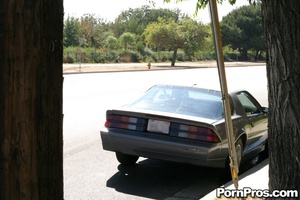 Permanent Link to Set 1031