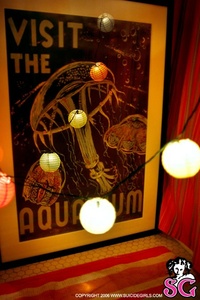 Permanent Link to 2006 11 02 – Bee – Jellyfish