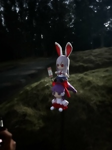 S2cNrjra.jpg