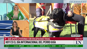 Debora.Plager.Saco.Verde.Marcando.Pechos.LN.1080P-Colitaz.55.png