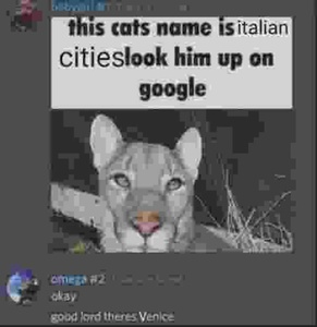 hntfyMhN.jpg