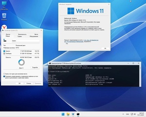 Windows 11 Pro 25H2 Build 26200.7171 (2025) RUS (Для старых компьютеров и слабых ноутбуков!)