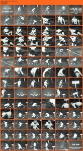 [Image: ME1AAJWG_t.jpg]