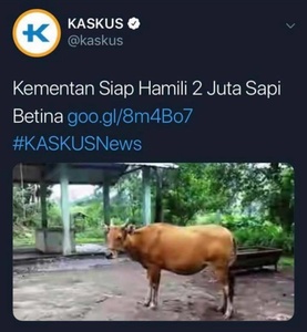 gP65KGN2.jpg
