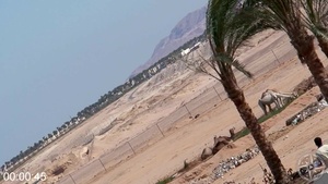 [Image: ME14KMA1_t.jpg]