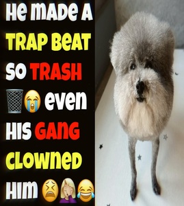 3B9wtqmH.jpg