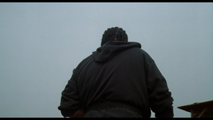 [Obrazek: MEZWZAY_t.png]