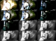 [Image: ME17WQEZ_t.jpg]