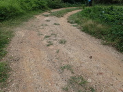 Hiking Tin Shui Wai 2023 July - 頁 2 MEPR0TR_t