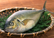 Свежая рыба / Fresh Fish MEGRA8_t