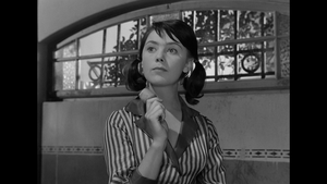 [Obrazek: MEQBMV5_t.png]