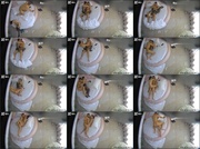 [Image: ME17WQED_t.jpg]