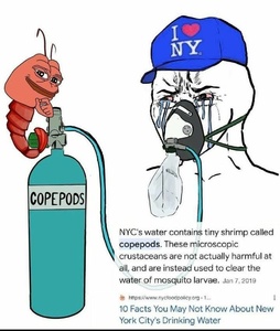 dZnCN6HN.jpg