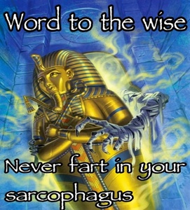 YopUYy6q.jpg