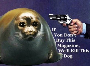 H40k4uzP.jpg