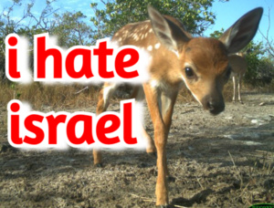 JRacchax.jpg