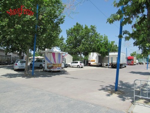IMG_7999.jpg