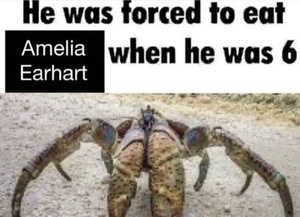 hMrNJX5R.jpg