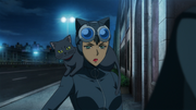 catwomanhunted12.png