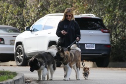 Sarah Michelle Gellar - Out walking her dogs in Brentwood CA 12/28/2021