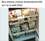 Холодильнег Алега