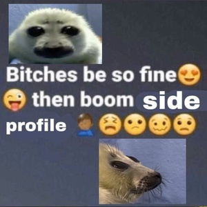 gJPxoRqH.jpg