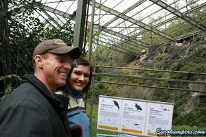 Permanent Link to Set 120