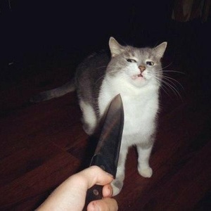 dNwQSK2M.jpg
