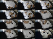 [Image: ME17WQEF_t.jpg]