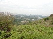 Hiking Tin Shui Wai 2023 July - 頁 3 MEQLKGE_t