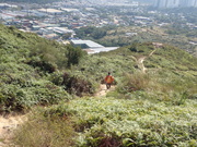 Hiking Tin Shui Wai 2023 July - 頁 3 MEQZMPX_t