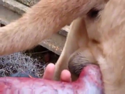 [Image: ME1B397H_t.png]