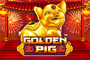 Golden Pig