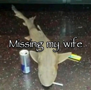 UKJJzPzC.jpg