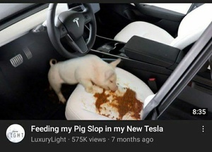 7LwuGH6X.jpg
