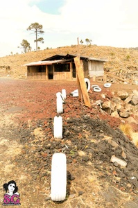 Permanent Link to 2010 01 MahuiIki