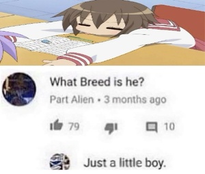 Sk51xvTK.jpg