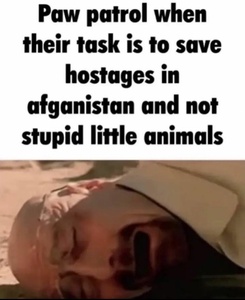 CDYgl4bn.jpg
